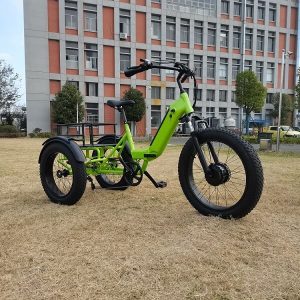 Green KK8031 Cargo E-Trike