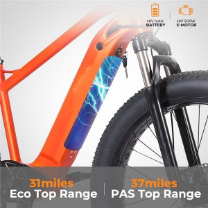 KK3006 Electric Mountain Bike Battery