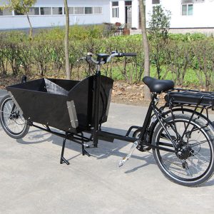 KK6002 E-Cargo Bike
