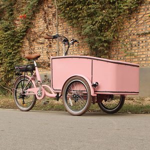 KK6007 Electric Cargo Trike