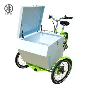 KK6012 Front Loader Electric Cargo Trike