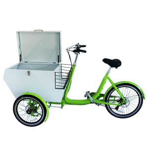 KK6012 Green Electric Power Cargo Trike
