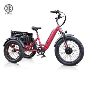 KK8031 Red Front Loader Electric Cargo Tricycle