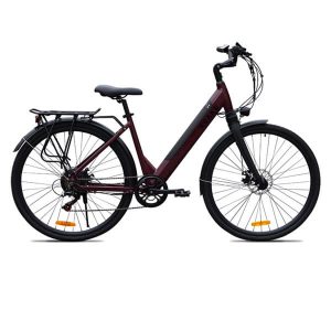 KK9053 Red Wine Electric City Bike